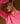 Maglione in cashmere girocollo